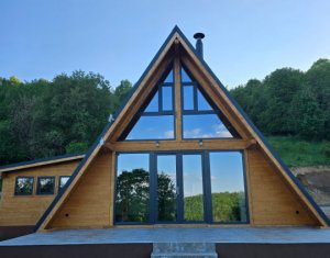 Maisons de vacances à vendre dans Valea Ierii
