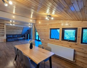 Maisons de vacances à vendre dans Valea Ierii