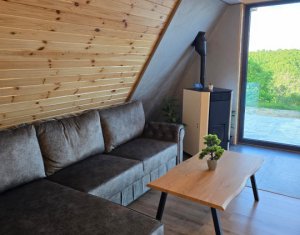 Maisons de vacances à vendre dans Valea Ierii