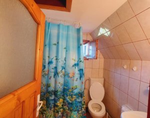 Maison 3 chambres à vendre dans Belis, zone Centru