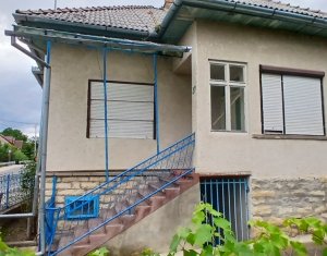 Maison 4 chambres à vendre dans Manastireni