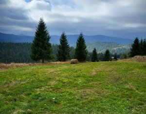 , 50m2 on Balcesti (belis), Zóna Centru
