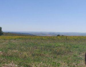 , 2519m2 dans Aiton