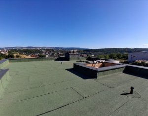 Maison 7 chambres à vendre dans Cluj-napoca, zone Dambul Rotund