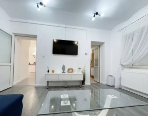 Central, PET FRIENDLY, 2 camere,  Piața Mihai Viteazu 