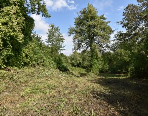 , 1547m2 dans Gheorghieni