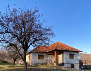 , 150m2 in Ciucea