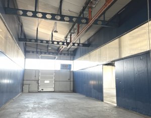Hala depozitare sau productie743 mp, 145mp birouri, Someseni - Aeroport