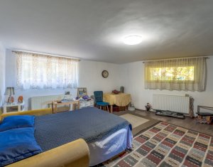 Vanzare casa individuala, spatioasa in Gruia teren 657 mp, zona linistita
