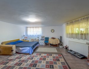 Vanzare casa individuala, spatioasa in Gruia teren 657 mp, zona linistita