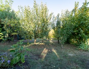 Casă individuală + 1000 mp teren - Sălicea