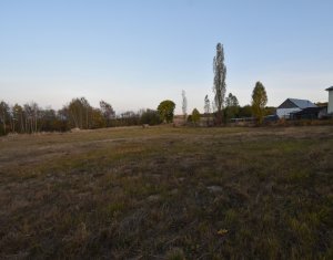 Teren intravilan in Dangaul Mare, drum asfaltat, canalizare, apa, curent