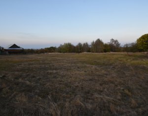 Teren intravilan in Dangaul Mare, drum asfaltat, canalizare, apa, curent