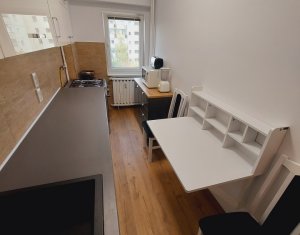 Apartament 1 camera, zona USAMV-PLATINIA