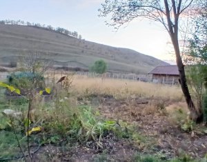 Casa de vanzare in Pata cu teren mare