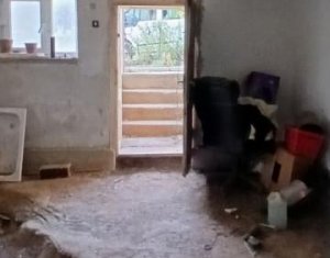 Ház 2 szobák eladó on Capusu Mare