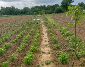 , 700m2 on Saliste