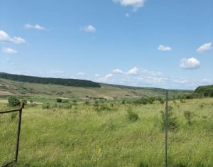 Terrain à vendre dans Feiurdeni
