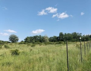 Terrain à vendre dans Feiurdeni