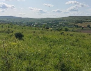 Terrain à vendre dans Feiurdeni